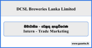 Intern (Trade Marketing) - DCSL Breweries Lanka Limited Vacancies 2025