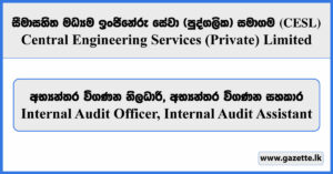 Internal Audit Officer, Internal Audit Assistant - Central Engineering Services (Private) Limited Vacancies 2026