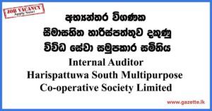 Internal-Auditor