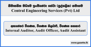 Internal Auditor, Audit Officer, Audit Assistant - Central Engineering Services (Pvt) Ltd Vacancies 2025