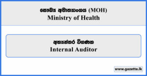 Internal Auditor - Ministry of Health Vacancies 2025