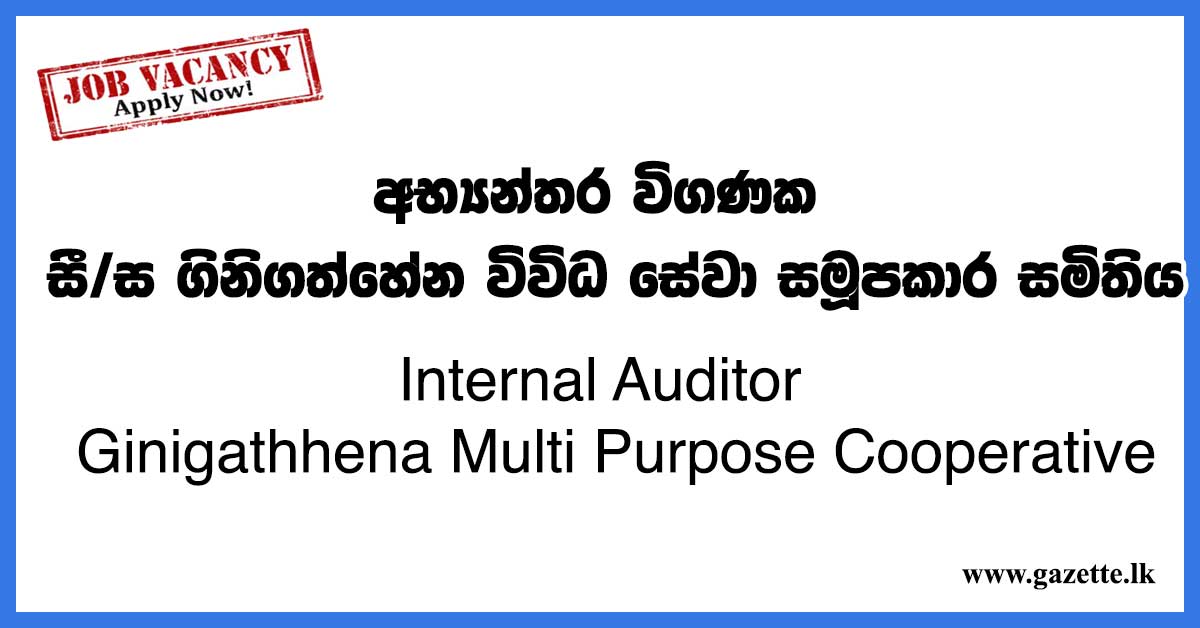 Internal-Auditor-