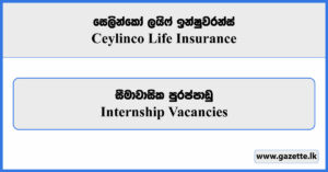 Internship - Ceylinco Life Insurance Vacancies 2025