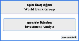 Investment Analyst - World Bank Group Vacancies 2024