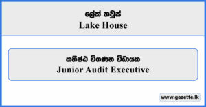 Junior Audit Executive - Lake House Vacancies 2025