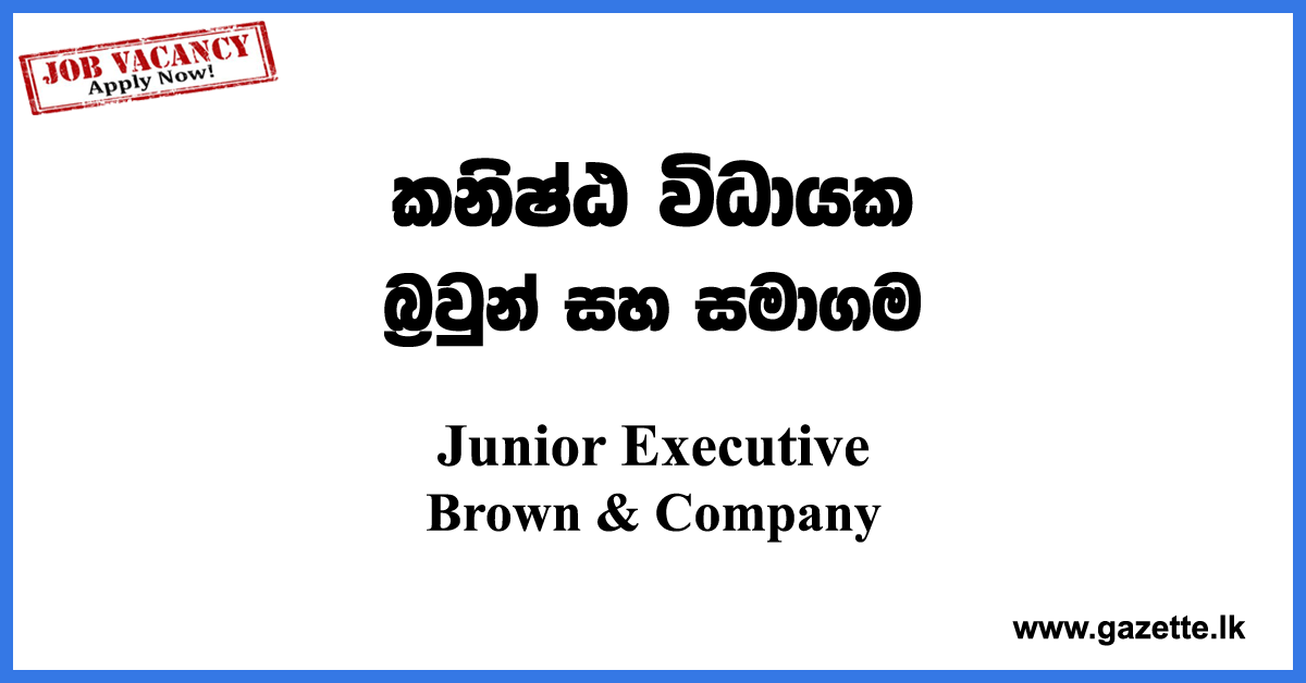 Junior Executive Jobs