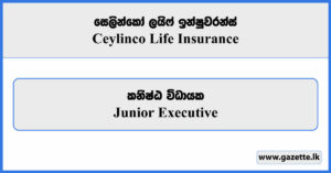 Junior Executive (Dambulla, Kekirawa) - Ceylinco Life Insurance Vacancies 2025
