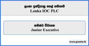 Junior Executive - Lanka IOC PLC Vacancies 2025