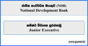 Junior Executive (Market Risk) - National Development Bank Vacancies 2026