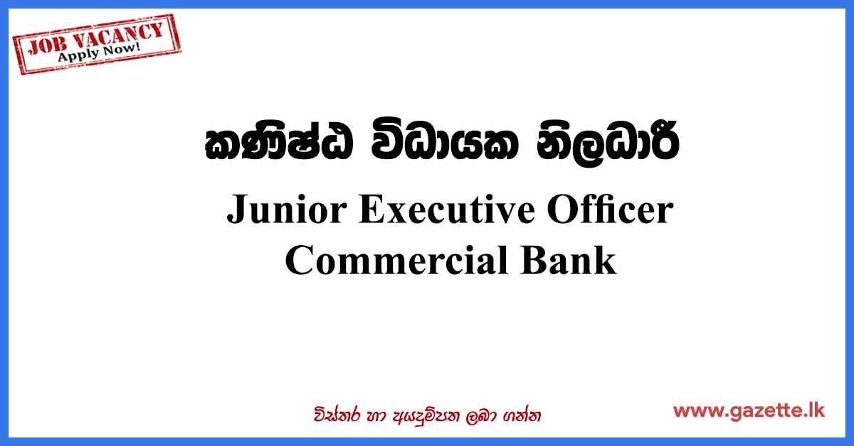 Junior-Executive-Officer