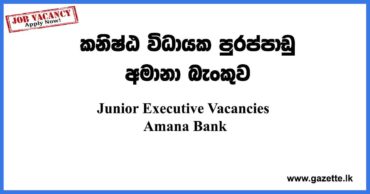 Junior Executive Vacancies Amana Bank