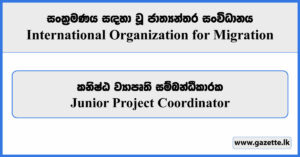 Junior Project Coordinator - International Organization for Migration Vacancies 2024