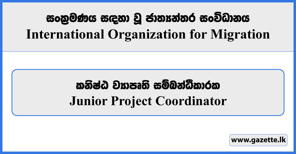 Junior Project Coordinator - International Organization for Migration Vacancies 2024