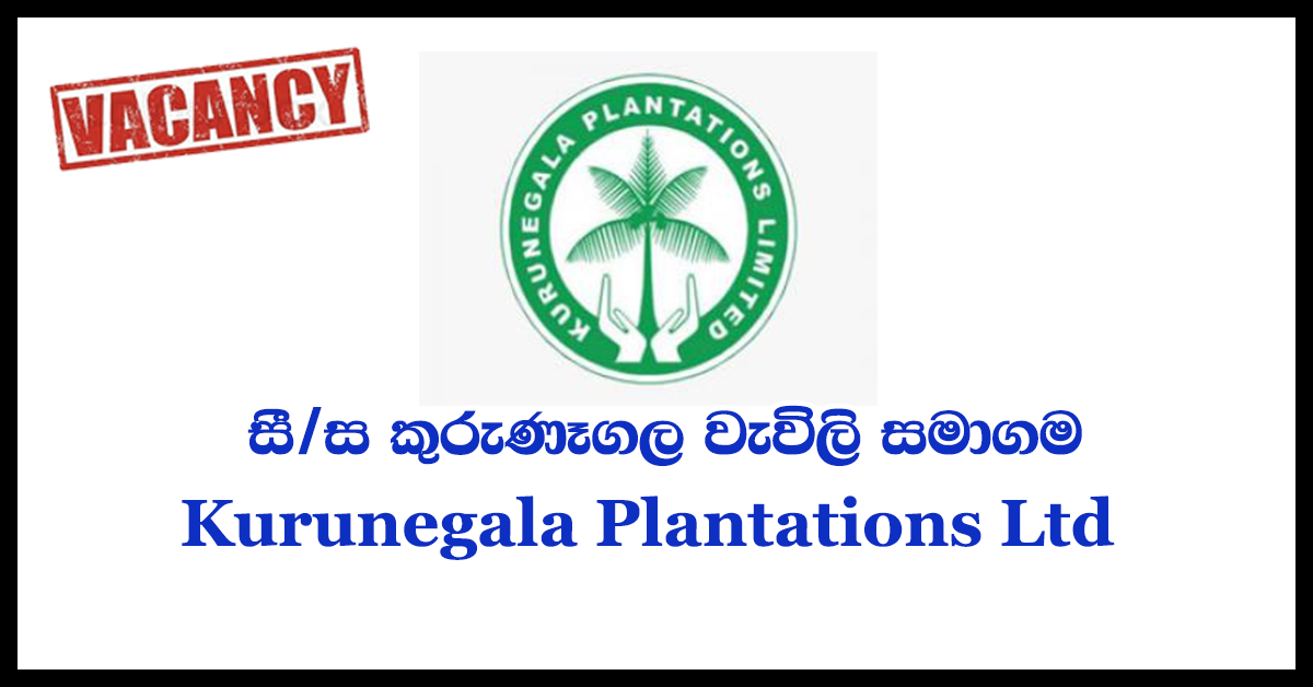 Secretary to Chairman - Kurunegala Plantations Ltd