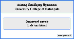Lab Assistant - University College Batangala Vacancies 2026
