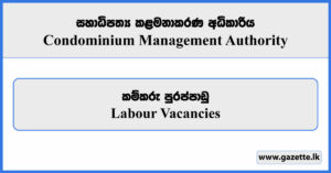 Labour - Condominium Management Authority Vacancies 2026