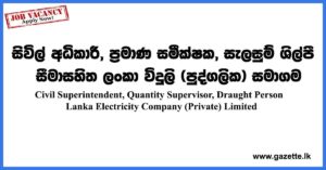 Lanka-Electricity-Company