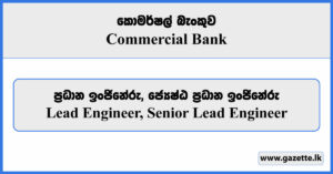 Lead Engineer, Senior Lead Engineer - Commercial Bank Vacancies 2024