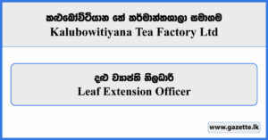 Leaf Extension Officer - Kalubowitiyana Tea Factory Limited Vacancies 2026