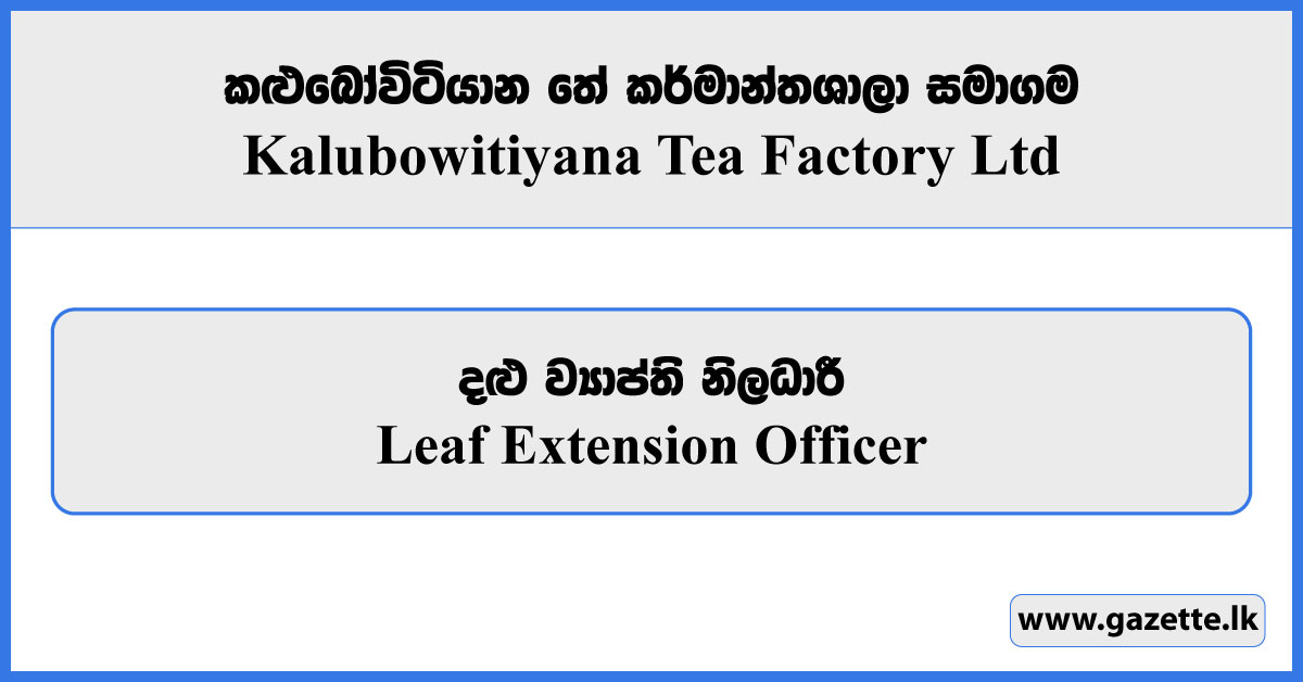 Leaf Extension Officer - Kalubowitiyana Tea Factory Limited Vacancies 2026