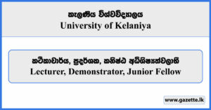 Lecturer, Demonstrator, Junior Fellow - University of Kelaniya Vacancies 2025