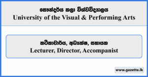 Lecturer, Director, Accompanist - University of the Visual & Performing Arts Vacancies 2026