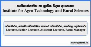 Lecturer, Senior Lecturer, Assistant Lecturer, Farm Manager - Institute for Agro-Technology and Rural Sciences Vacancies 2025