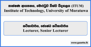 Lecturer, Senior Lecturer - ITUM Vacancies 2025