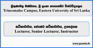 Lecturer, Senior Lecturer, Instructor - Trincomalee Campus, Eastern University of Sri Lanka Vacancies 2026