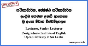 Lecturer, Senior Lecturer - Postgraduate Institute of English Vacancies (Open University) 2023