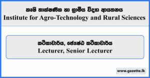 Lecturer, Senior Lecturer - Institute for Agro-Technology and Rural Sciences Vacancies 2025