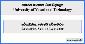 Lecturer, Senior Lecturer - University of Vocational Technology Vacancies 2025