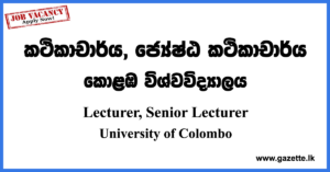 Lecturer, Senior Lecturer Vacancies