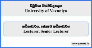 Lecturer, Senior Lecturer - University of Vavuniya Vacancies 2024