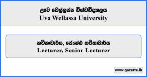 Lecturer, Senior Lecturer - Uva Wellassa University Vacancies 2026