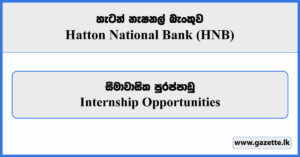Internship Opportunities - Hatton National Bank Vacancies 2025