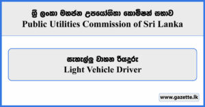 Light Vehicle Driver - Public Utilities Commission Vacancies 2025