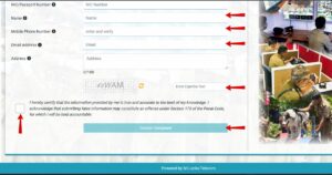 Lost-Document-Reports-Submission-3