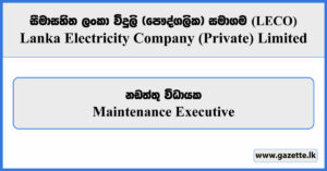 Maintenance Executive - LECO Vacancies 2026