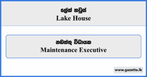 Maintenance Executive - Lake House Vacancies 2024