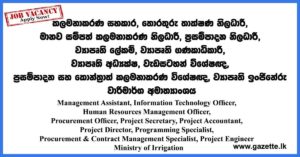 Management Assistant