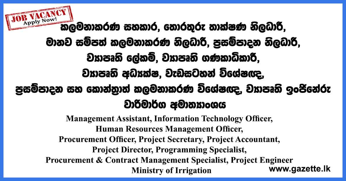 Management Assistant