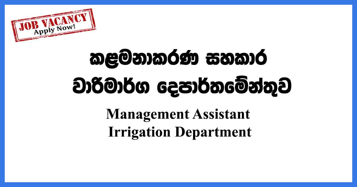 Management Assistant