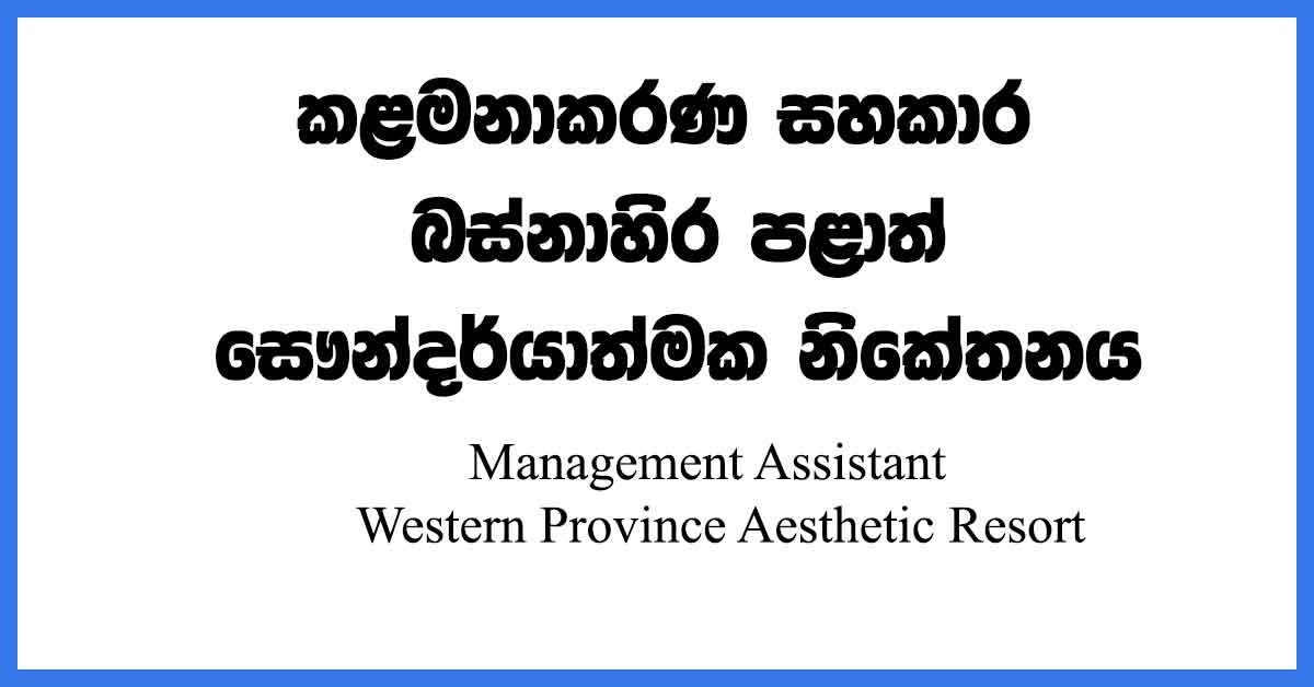 Management-Assistant