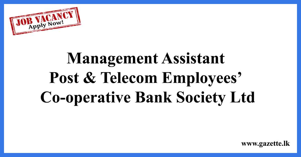 Management-Assistant