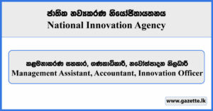 Management Assistant, Accountant, Innovation Officer - National Innovation Agency Vacancies 2024