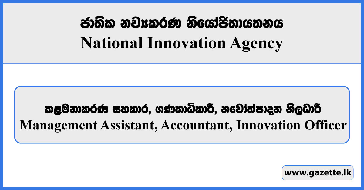 Management Assistant, Accountant, Innovation Officer - National Innovation Agency Vacancies 2024