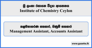 Management Assistant, Accounts Assistant - Institute of Chemistry Ceylon Vacancies 2025