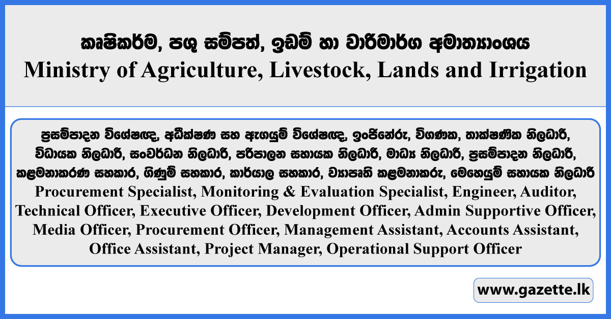 Procurement Specialist, Monitoring & Evaluation Specialist, Engineer, Auditor, Technical Officer, Executive Officer, Development Officer, Admin Supportive Officer, Media Officer, Procurement Officer, Management Assistant, Accounts Assistant, Office Assistant, Project Manager, Operational Support Officer - Ministry of Agriculture, Livestock, Lands and Irrigation Vacancies 2025