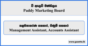 Management Assistant, Accounts Assistant - Paddy Marketing Board Vacancies 2026
